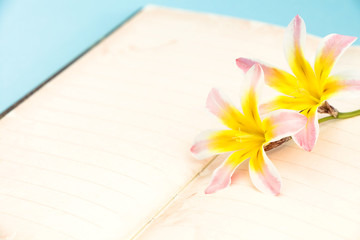 Colorful spring flowers, with blank open diary for text, closeup on light blue background.
