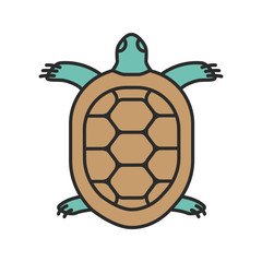 Tortoise color icon