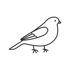 Canary linear icon