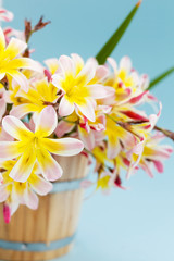 Colorful spring flower bouquet in wooden bucket, on light blue background.