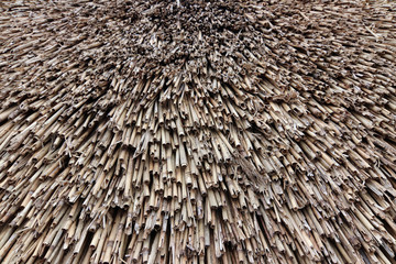Texture of the reed roof