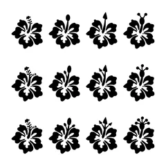 Muurstickers Tropische planten Stel bloem vector iconen in silhouet geïsoleerd op wit