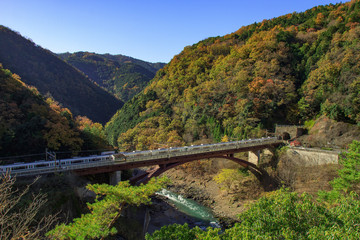 Fototapeta premium Tunnel and a railway station built with the bridge in Kyoto, Japan