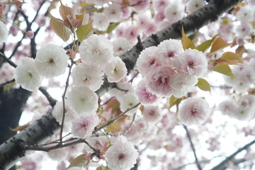20180413