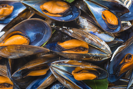 Mejillones cocidos al vapor abiertos listos para la comida, marisco barato y saludable