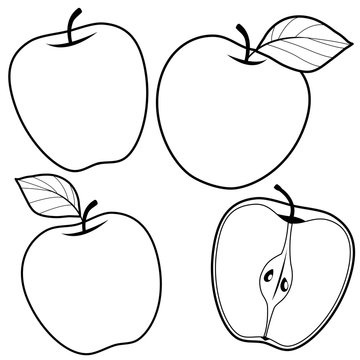Apples on white background. Vector black and white coloring page.
