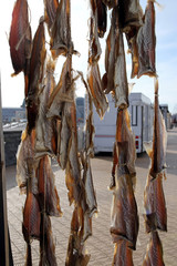 Fototapeta na wymiar trockenfisch auf dem fischmarkt
