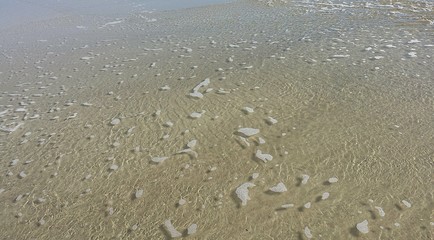 Clear ocean water in Florida beach
