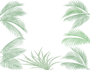 Leaves of tropical palms in pastel tones. Set. Monster, agave. Isolated on white background. illustration
