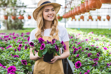 Young female gardener holding pot with flowers in glasshouse