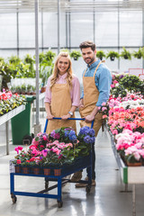 Male and female gardeners standing by cart with flowers in greenhouse