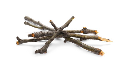 Dry branches isolated on white background
