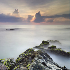 mossy rock seascape