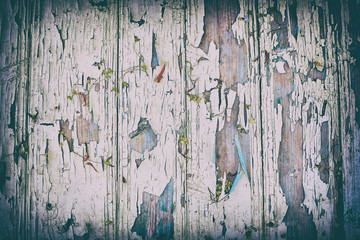 Vintage wood background with faded and cracked paint, dry flowers