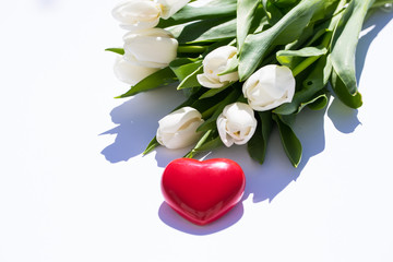 tulips on white background with a red heart