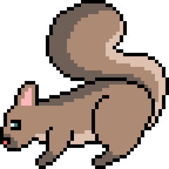 vector pixel art wild squirrel
