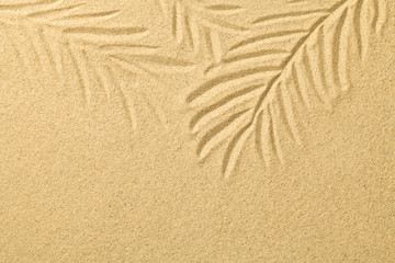 Fototapeta na wymiar Palm Leaves Drawn in the Sand. Summer Background