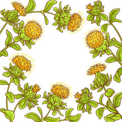safflower plant vector frame