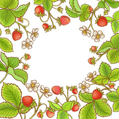 strawberry plant vector frame