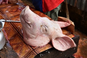 head dead pig on table prepare cook for big party