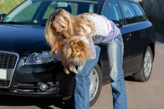 A Woman Carries An Injured Dog In Front Of A Car