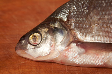 Dried fish on the table.Snack to beer.