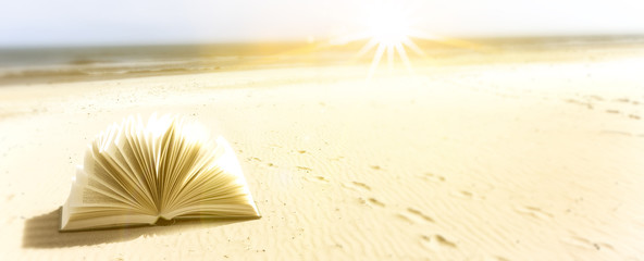 Buch am Meer