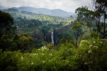 Tropical landscape with waterfall in Sri Lanka.