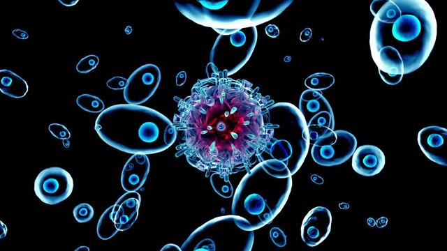 3D rendered Animation of a moving HIV Virus cell floating between healthy body cells.
