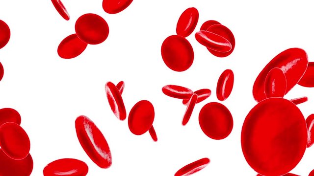 Flowing Erythrocyte aka Heamoglobin cells on a white background. 		
