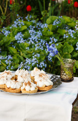 tartlets with apples and meringue cream