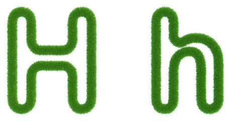 Letter H of green fresh grass isolated on a white background. 3d rendering