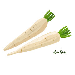 Daikon. Flat design. Vector illustration