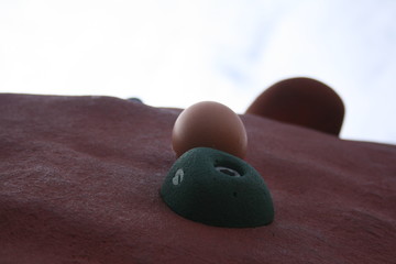 jajko ścianka © Marta