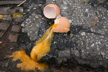 płynne jajko