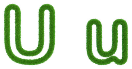 Letter U of green fresh grass isolated on a white background. 3d rendering