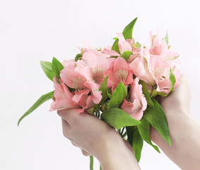 bouquet of flowers in female hands isolated on a light backgrou