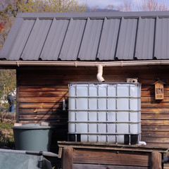 Pensez au récupérateur d'eau pour votre jardin !