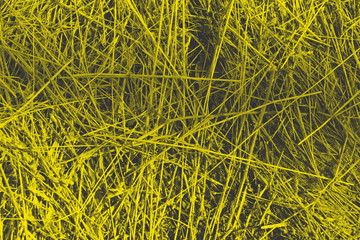 old grass straw texture background. spring natural texture of dry grass.