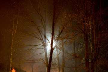 Scattered light from a street lamp at night during a thick fog
