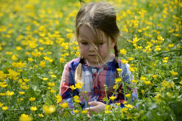 little girl walking on the field with yellow flowers