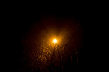 Scattered light from a street lamp at night during a thick fog
