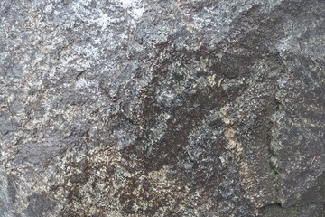Texture of wet dark grey natural stone