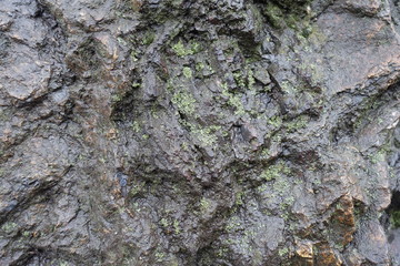 Uneven surface of wet black stone with lichen