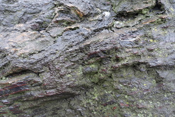 Wet dark grey stone with green lichen