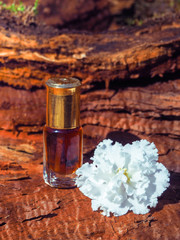 The oil of sandalwood. Traditional Indian perfume. Massage oil.
