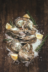 Dozen fresh oysters on the wooden and sea salt. Top view