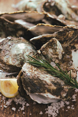 Dozen fresh oysters on the wooden and sea salt. Top view