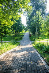 Old park-manor Belkino summer day
