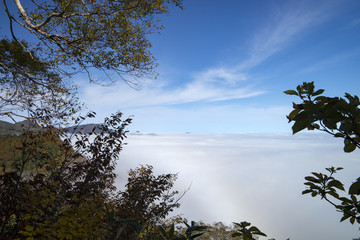 紅葉と雲海　三方岩岳中腹からの眺め